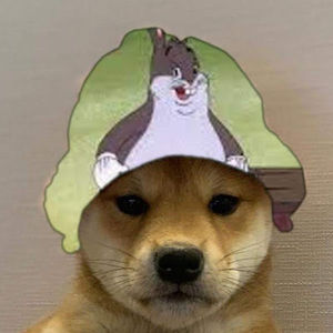 Meet your Posher, Eva